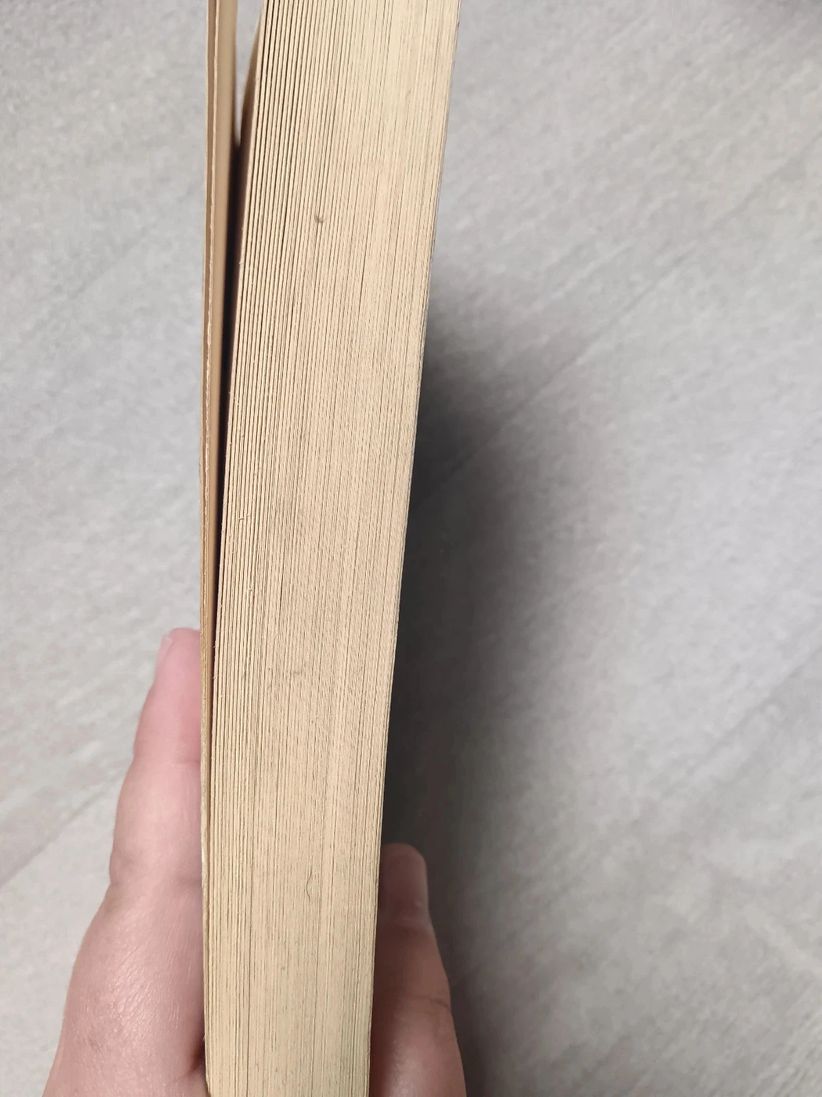 Livre Musso – photo 3